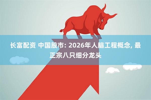 长富配资 中国股市: 2026年人脑工程概念, 最正宗八只细分龙头